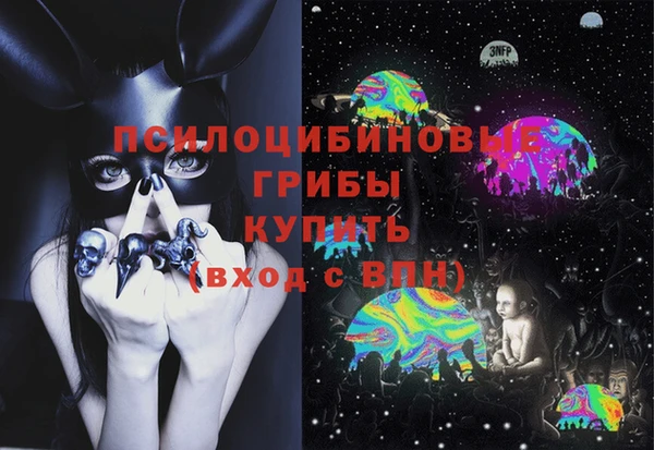 гидра Абаза