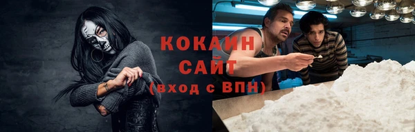 гидра Абаза