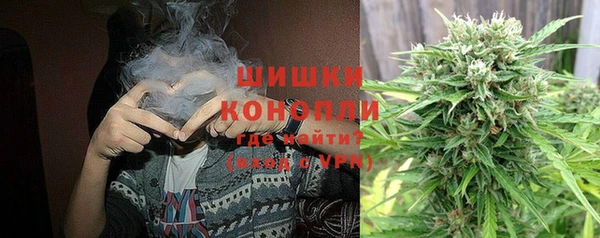 гидра Абаза